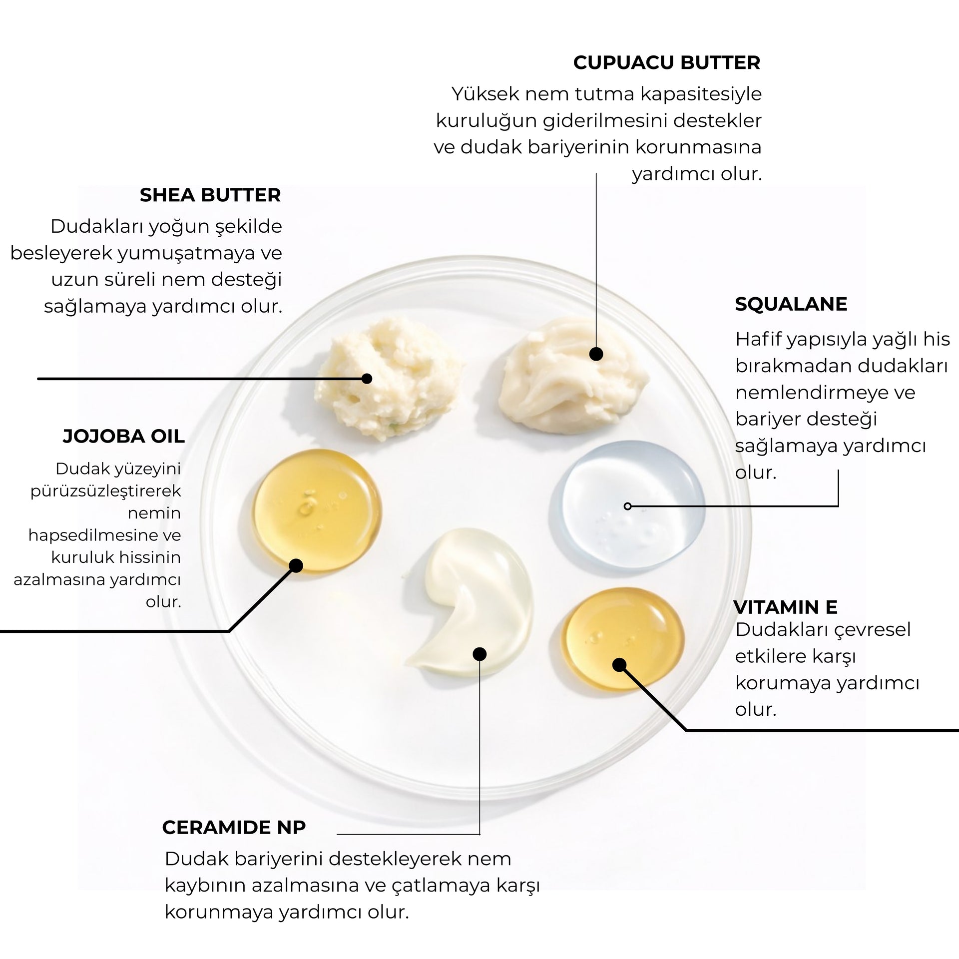 Lip Glowy Balm Cappuccino Glaze, Dolgun Görünüm Sağlayan, Parlatıcı, Nemlendirici, Renkli Dudak Bakım Balmı, Lip Balm 13 ml
