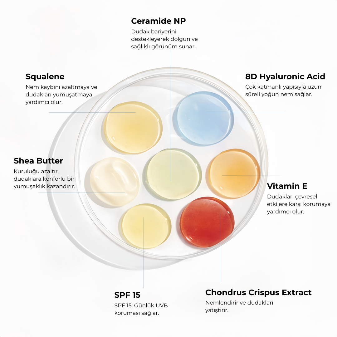SPF 15 UV Korumalı, Şeffaf & Parlak Bitişli, Nemlendirici Dudak Balmı, Lip Balm 15 ml