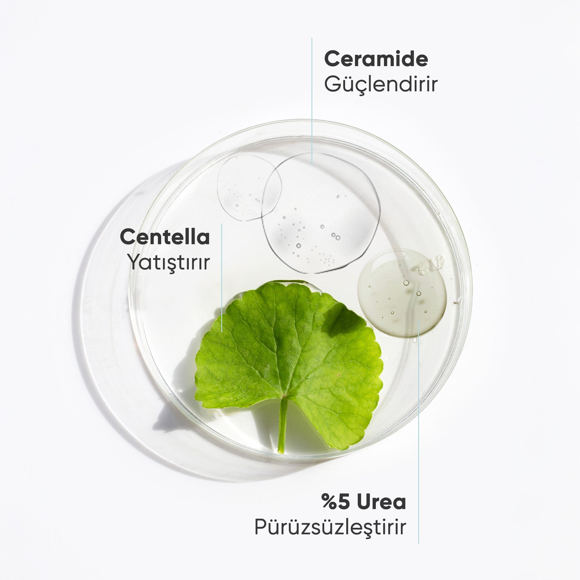 Yoğun Nemlendirici ve Onarıcı Vücut Kremi %5 Urea + Ceramide 200 ml