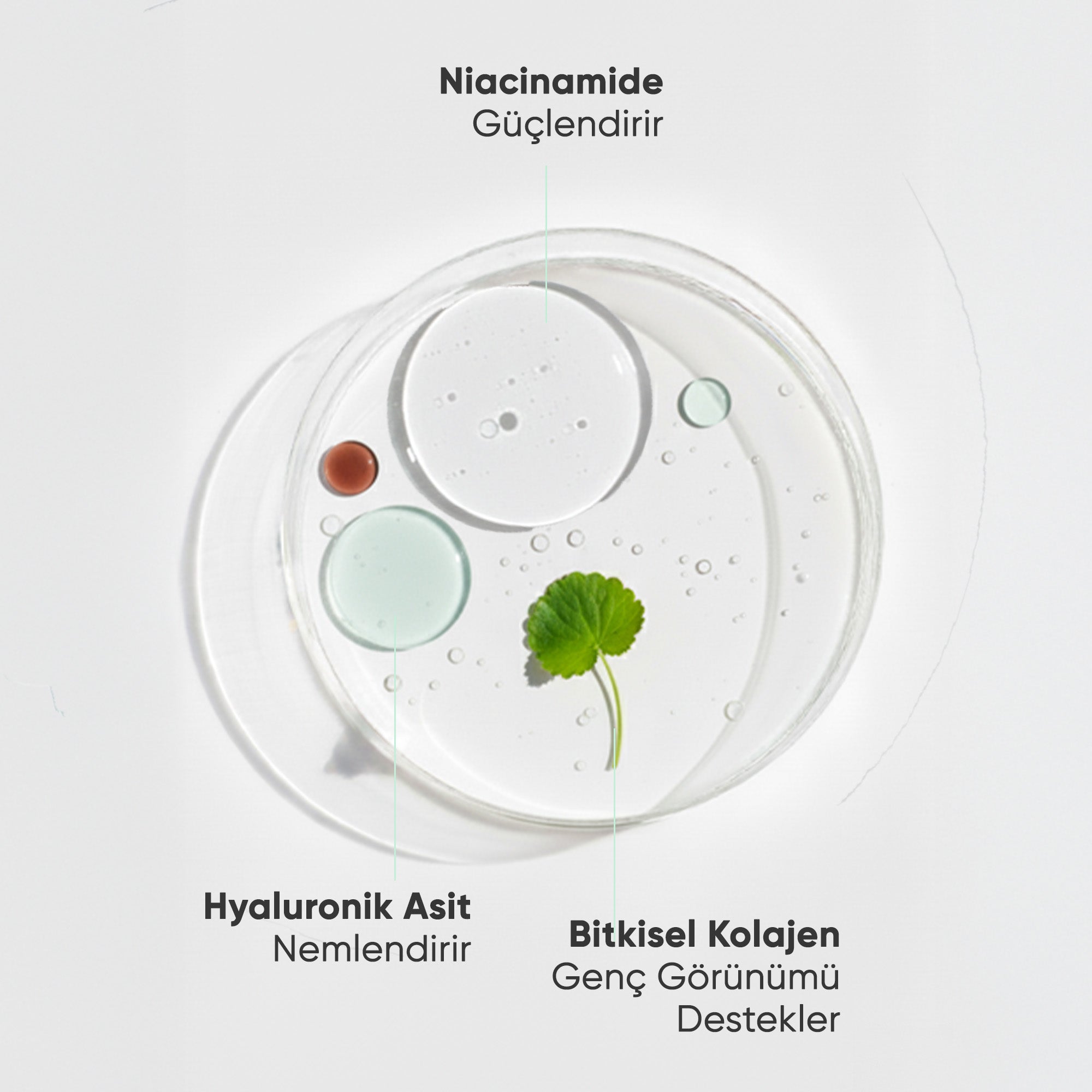 Sivilce ve Siyah Nokta Karşıtı, Aydınlatıcı Niacinamide Cilt Bakım Serumu 30 ml