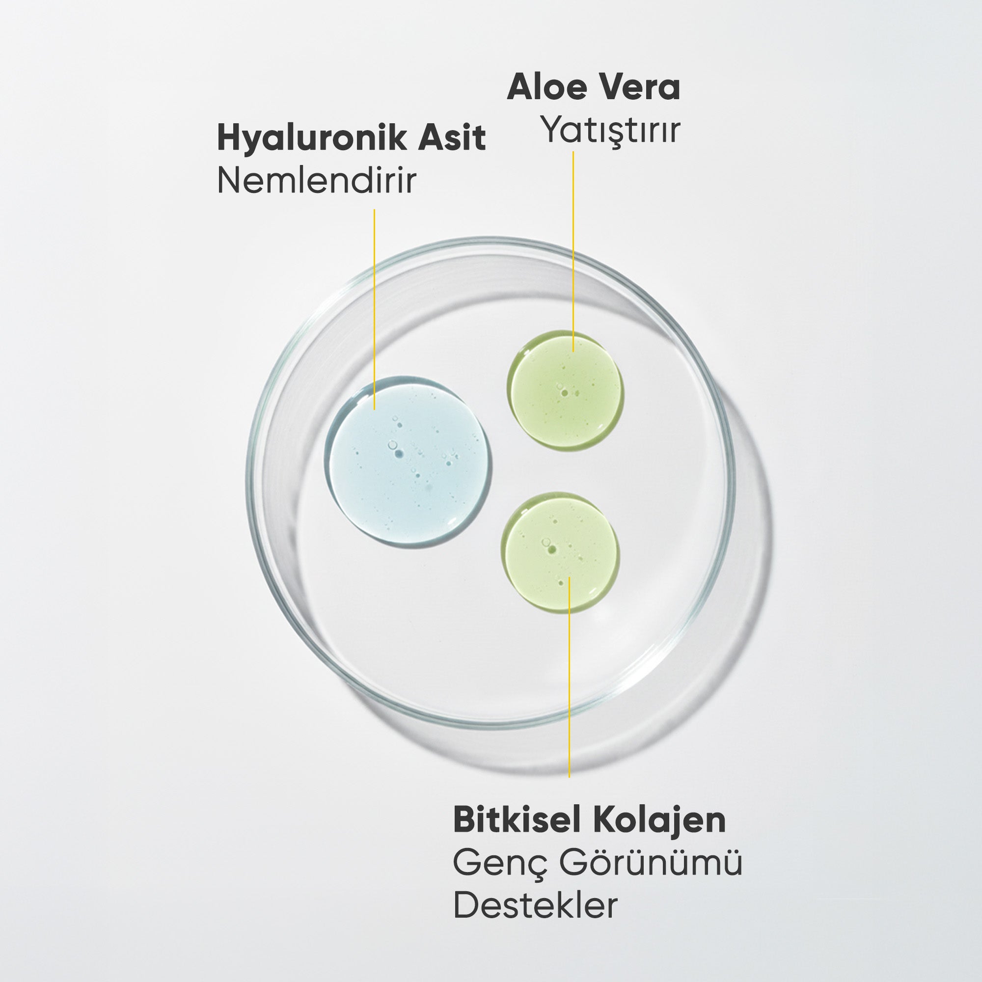 Aloe Vera Özlü, Leke Karşıtı, Cilt Tonu Eşitleyici, Yüksek Korumalı Güneş Kremi SPF 50+ Pa++++ 50 ml