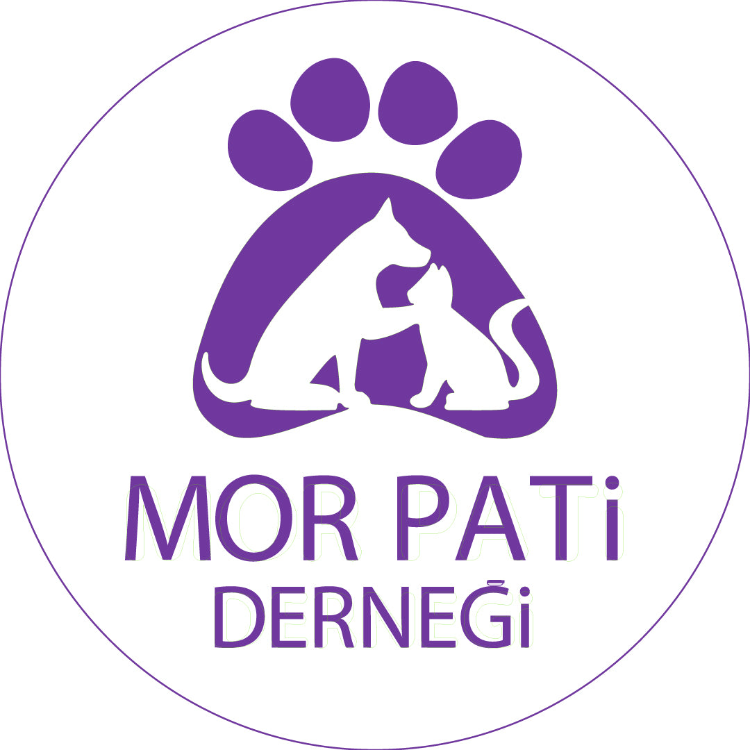 Mor Pati Derneği